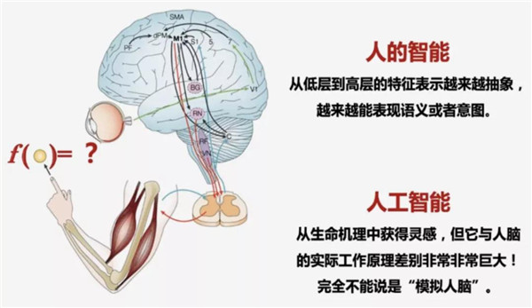 胡潔:人工智能時(shí)代的創(chuàng)新設(shè)計(jì)