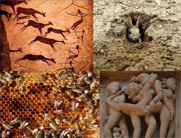 王?。弘s談“自然與建筑的關系”