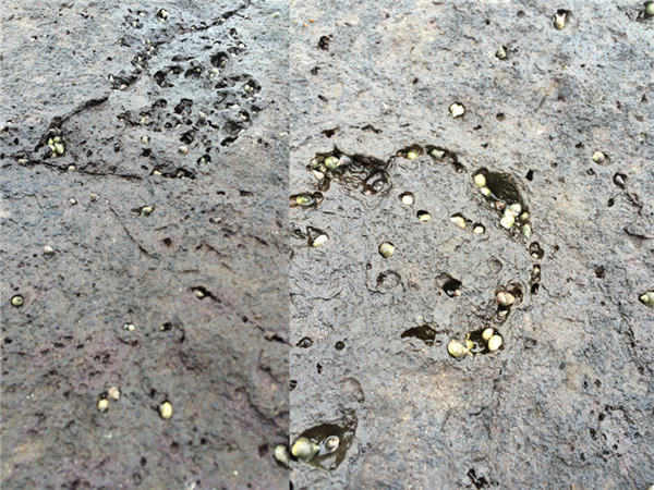 王俊：雜談“自然與建筑的關系”