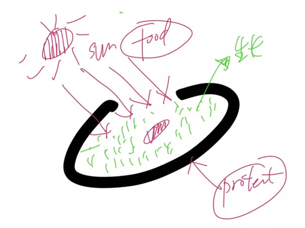 王?。弘s談“自然與建筑的關系”