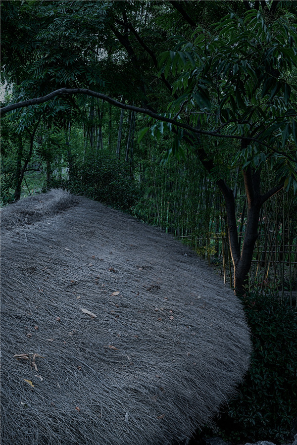 未相景觀丨竹之即興——涉趣廊