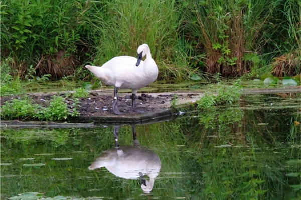 首開(kāi)提香灣