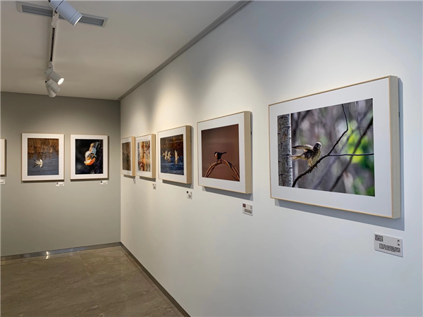 首開(kāi)提香灣