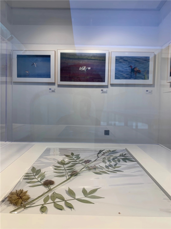 首開(kāi)提香灣