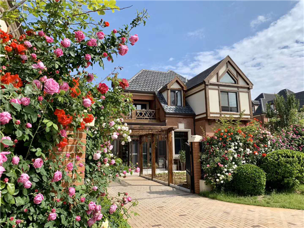 首開(kāi)提香灣