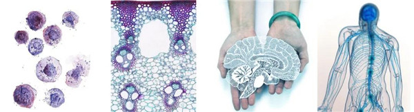 直播預(yù)告丨?阿普貝思景觀實踐與思考