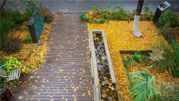 直播預(yù)告丨?阿普貝思景觀實踐與思考