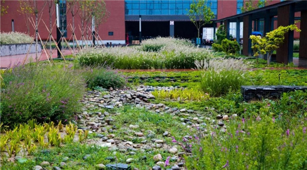 直播預(yù)告丨?阿普貝思景觀實踐與思考