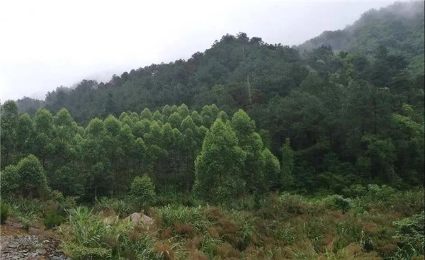 直播預(yù)告丨?阿普貝思景觀實踐與思考