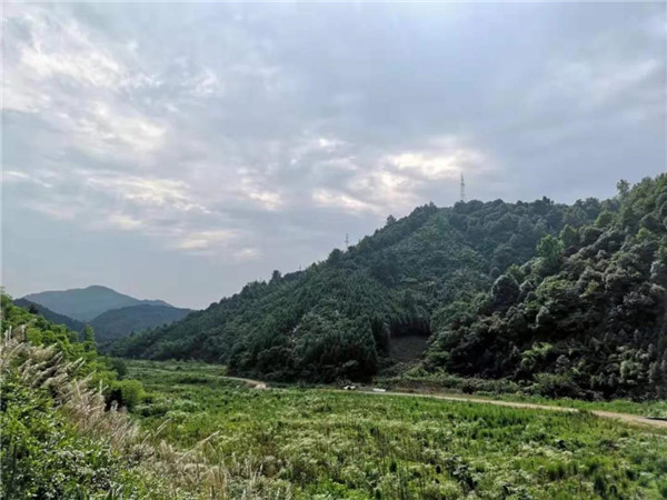 直播預(yù)告|楊棋：九華霄云谷設(shè)計分享