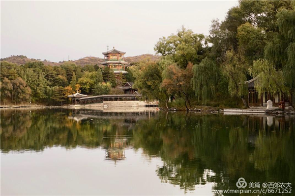 張曉鳴:審美引導也是園林人的使命