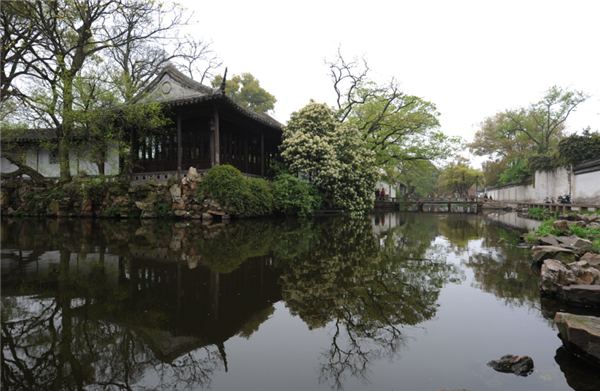 張曉鳴:審美引導也是園林人的使命