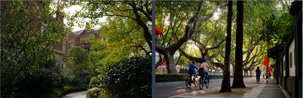 張曉鳴:審美引導也是園林人的使命