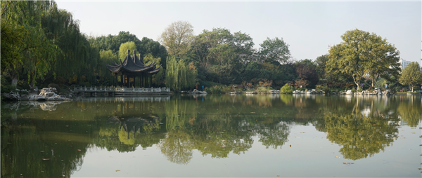 張曉鳴:審美引導也是園林人的使命