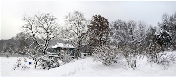 張曉鳴:審美引導也是園林人的使命