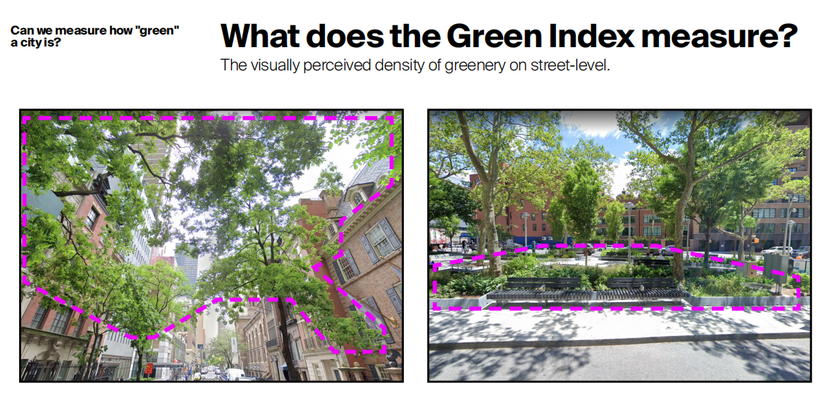 楊竣程:街道綠化程度的價(jià)值
