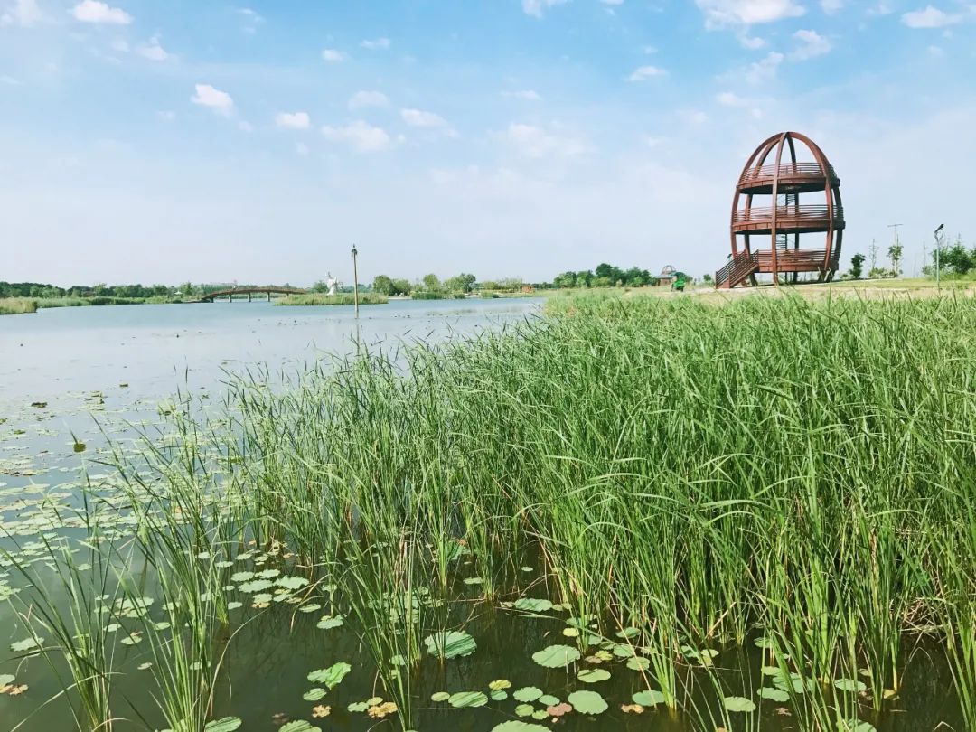 匯聚全球智慧促進湖城發展 河北衡水打造永不落幕園博會