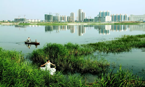 保護一方濕地,建設生態衡水