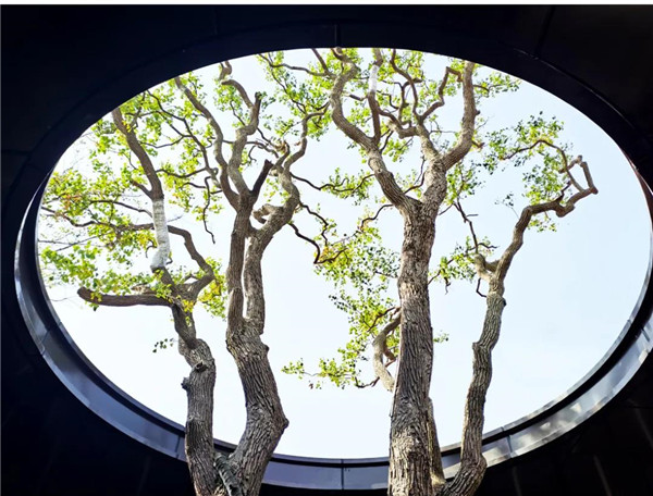 帝奧設(shè)計(jì)丨中梁·時(shí)代江來——半城江水，半城詩歌