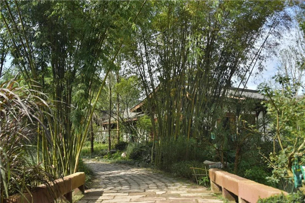 景虎景觀丨官塘小村·宅里