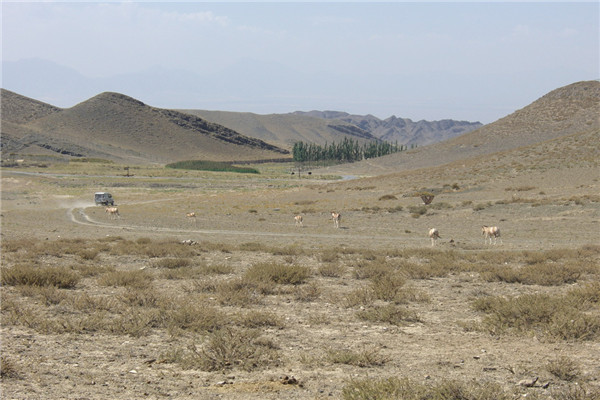 章俊華訪談：大地“衛士”