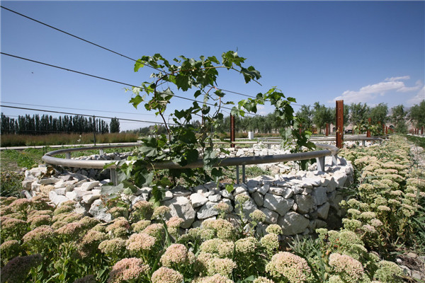 章俊華訪談：大地“衛士”