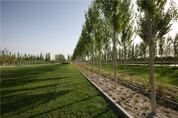 章俊華訪談：大地“衛士”