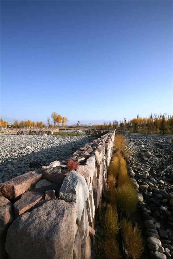 章俊華訪談：大地“衛士”