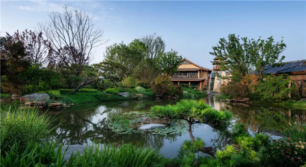 賽肯思:用創(chuàng)造力連接人與自然