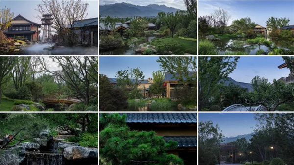 賽肯思:用創(chuàng)造力連接人與自然