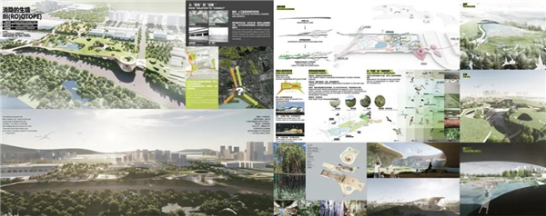 賽肯思:用創(chuàng)造力連接人與自然