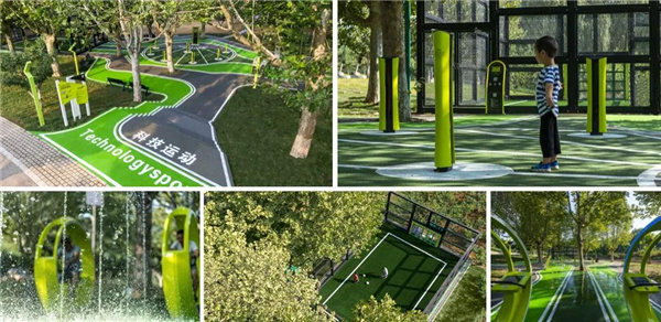 賽肯思:用創(chuàng)造力連接人與自然