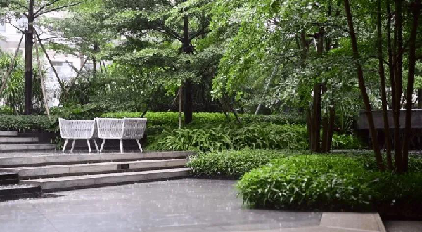 付凱:逆風前行,做有個性的設計