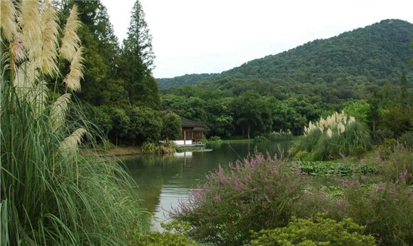 張建庭:杭州新西湖修復(fù)經(jīng)驗