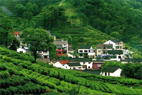 張建庭:杭州新西湖修復(fù)經(jīng)驗