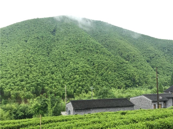 原筑景觀丨莫干山原舍懷谷酒店