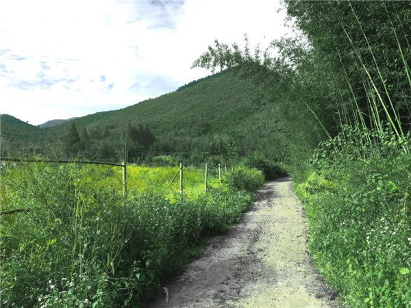 原筑景觀丨莫干山原舍懷谷酒店