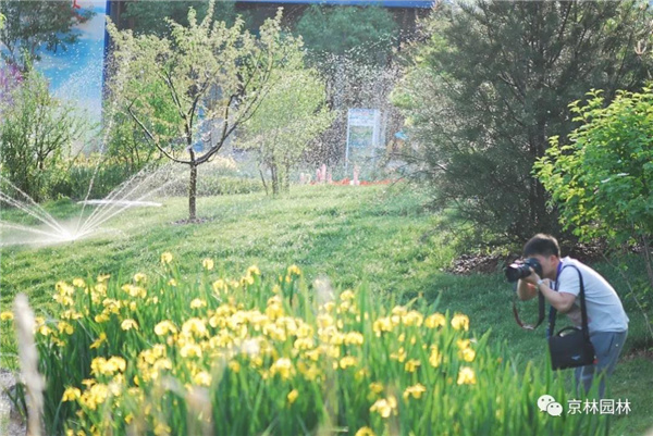京林生態花園2021年(第三屆)春季花展即將盛大開幕