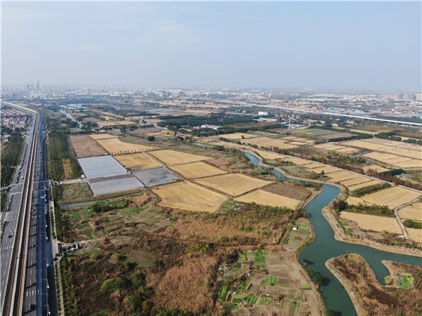 三益設(shè)計(jì)丨北斗西虹橋基地趙巷園區(qū)