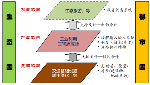 呂斌:面向碳中和的城鄉連攜生態路徑
