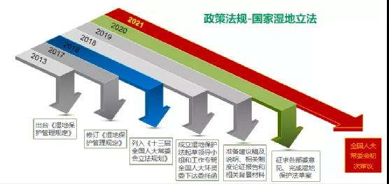 鮑達明：加強濕地保護，促進綠色發(fā)展