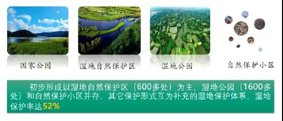 鮑達明：加強濕地保護，促進綠色發(fā)展