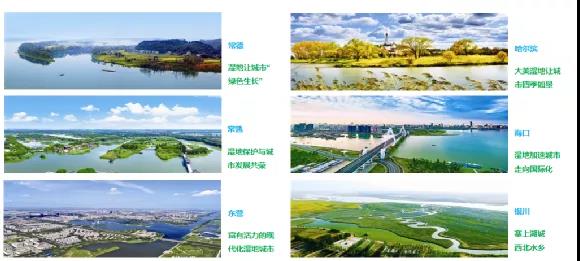 鮑達明：加強濕地保護，促進綠色發(fā)展