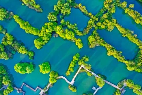 鮑達明：加強濕地保護，促進綠色發(fā)展