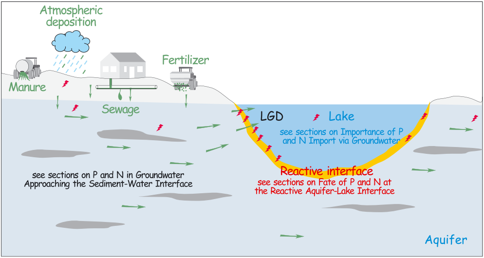 王焰新:湖泊富營(yíng)養(yǎng)化防治環(huán)境研究
