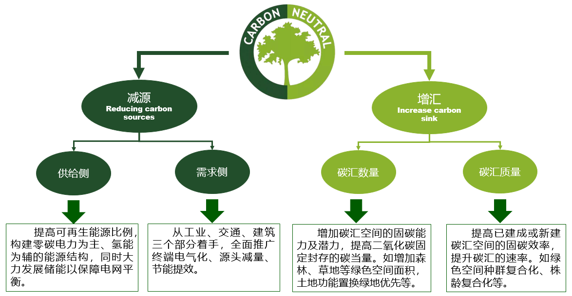 石鐵矛:“碳中和”導向下的城市綠地系統碳匯