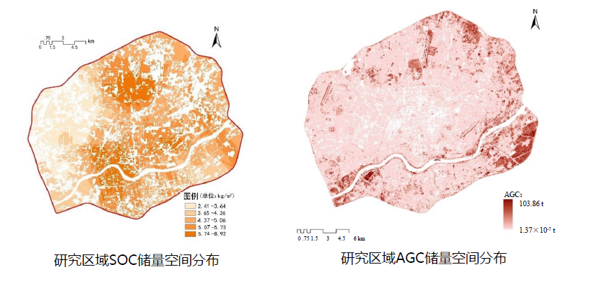 石鐵矛:“碳中和”導向下的城市綠地系統碳匯