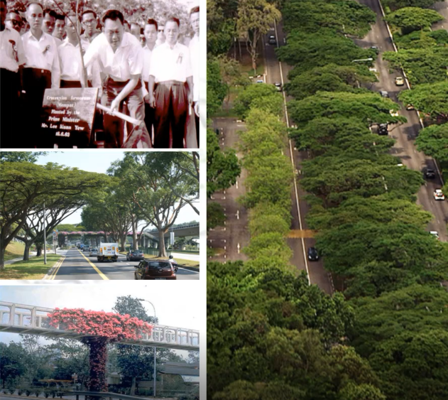 鄧國輝:邁向大自然中的城市