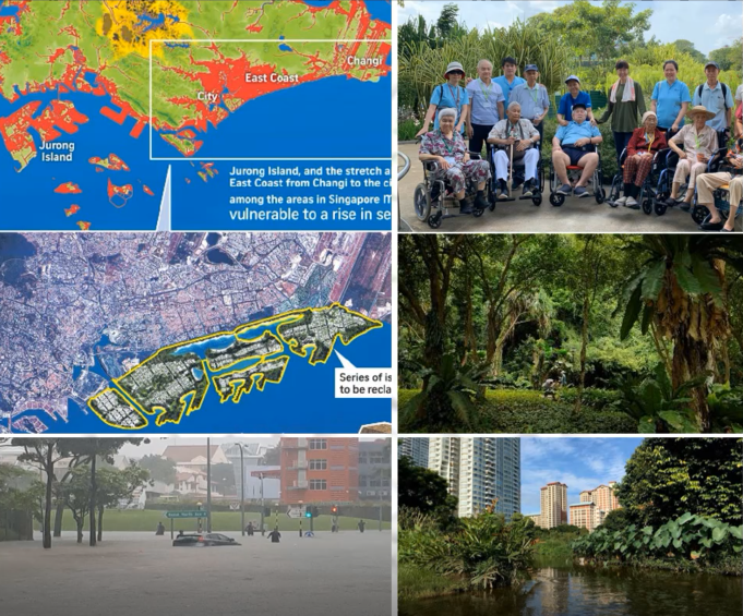 鄧國輝:邁向大自然中的城市