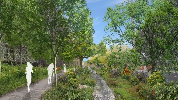 鄧國輝:邁向大自然中的城市